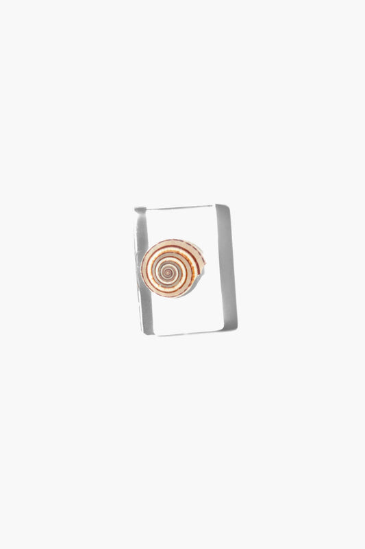 SPIRAL CONCH SHELL IN LUCITE