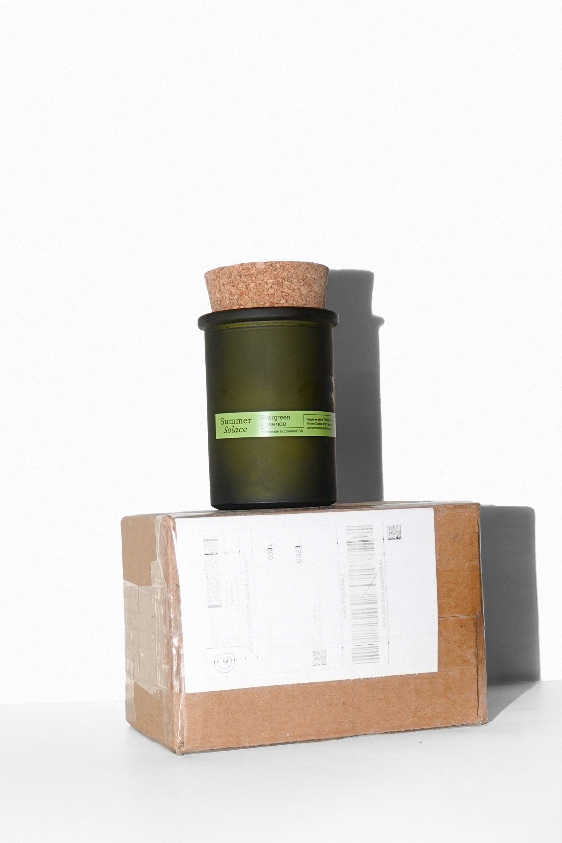 Summer Solace Evergreen Essence Candle 6oz