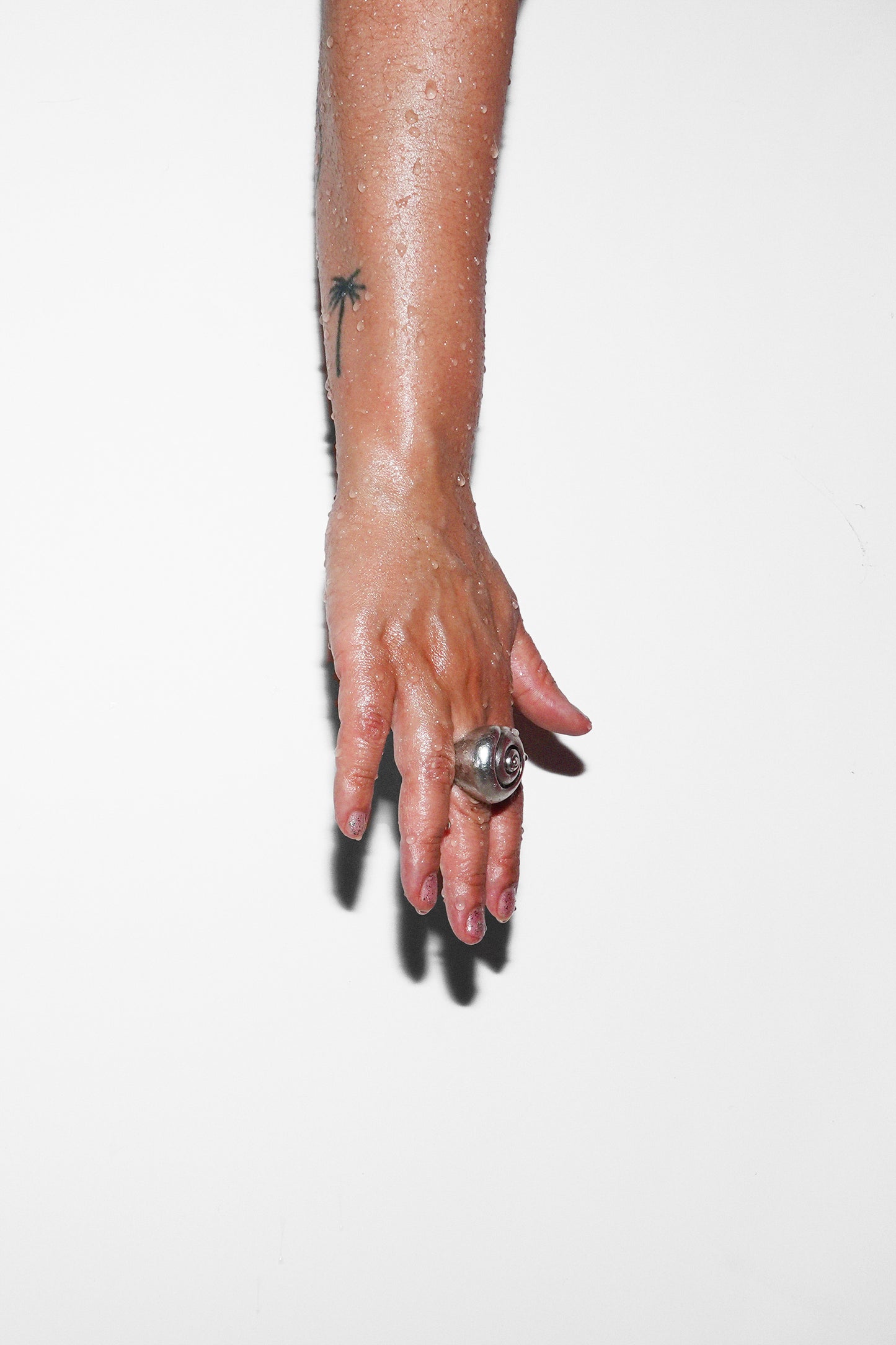 NAUTILUS RING (STERLING SILVER)