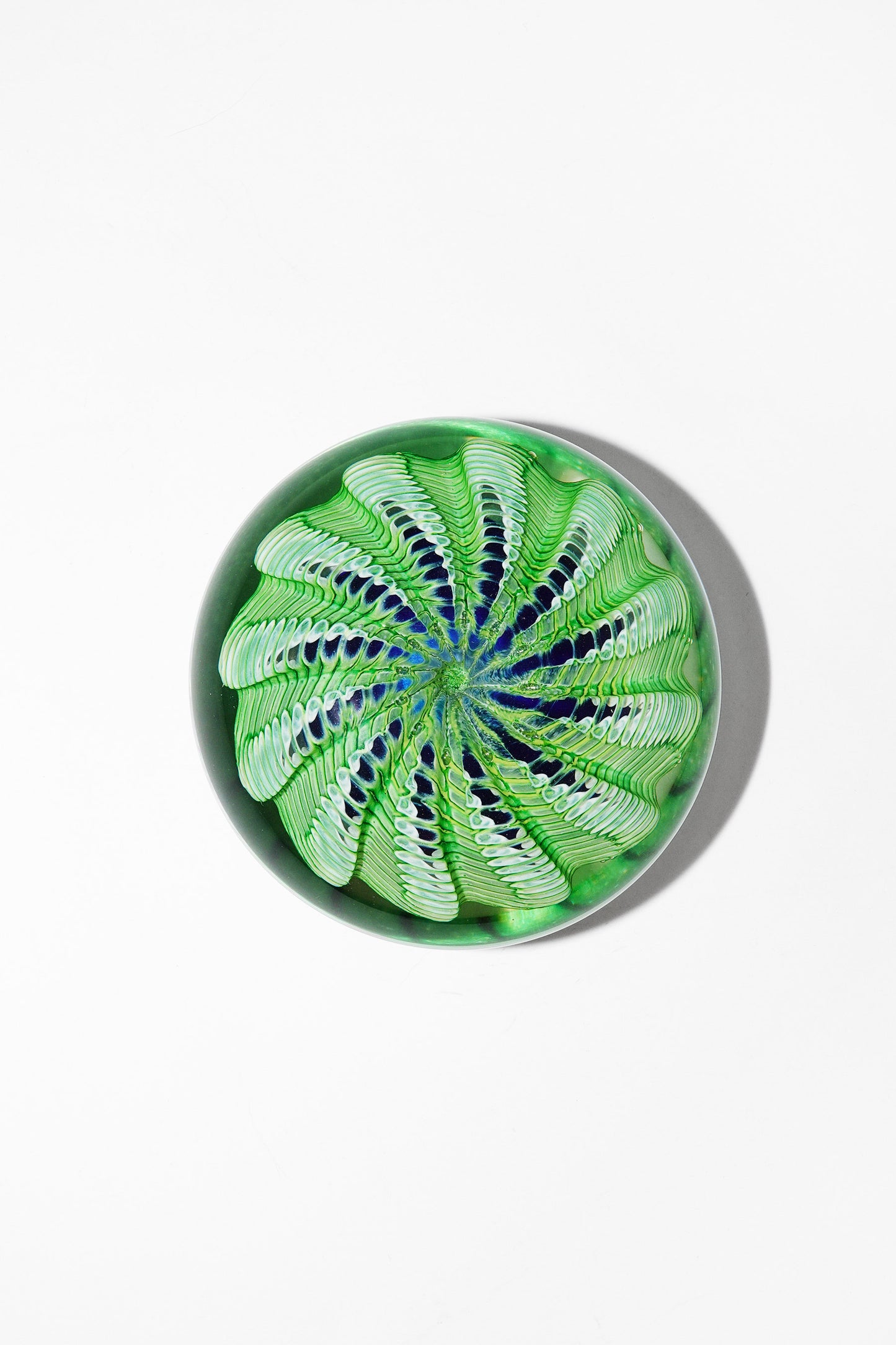 Epiphany Studios Paperweight in Green Sea Urchin