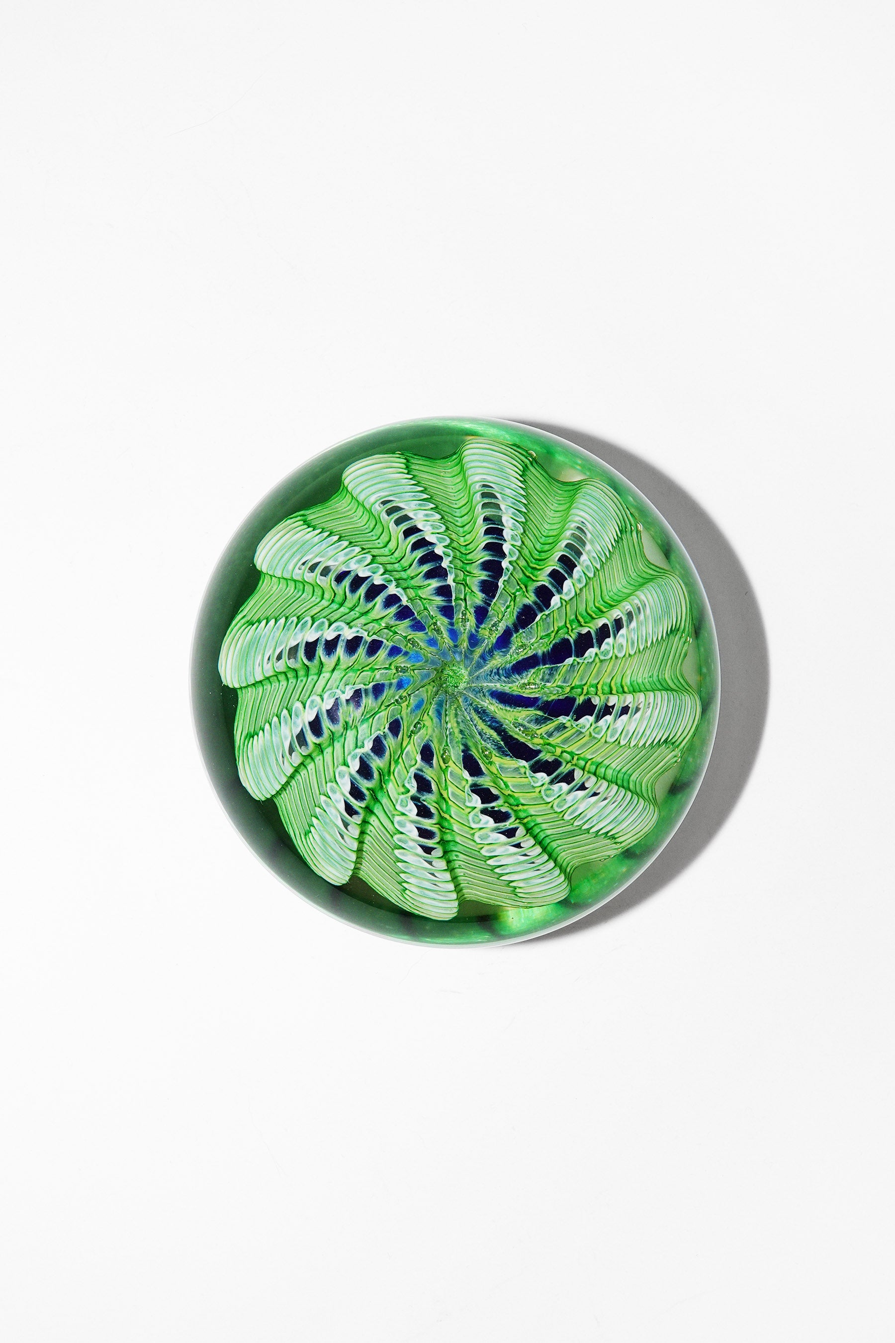 Epiphany Studios Paperweight in Green Sea Urchin