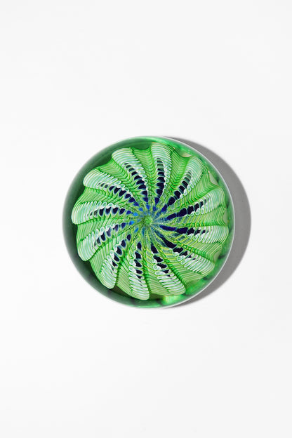 Epiphany Studios Paperweight in Green Sea Urchin