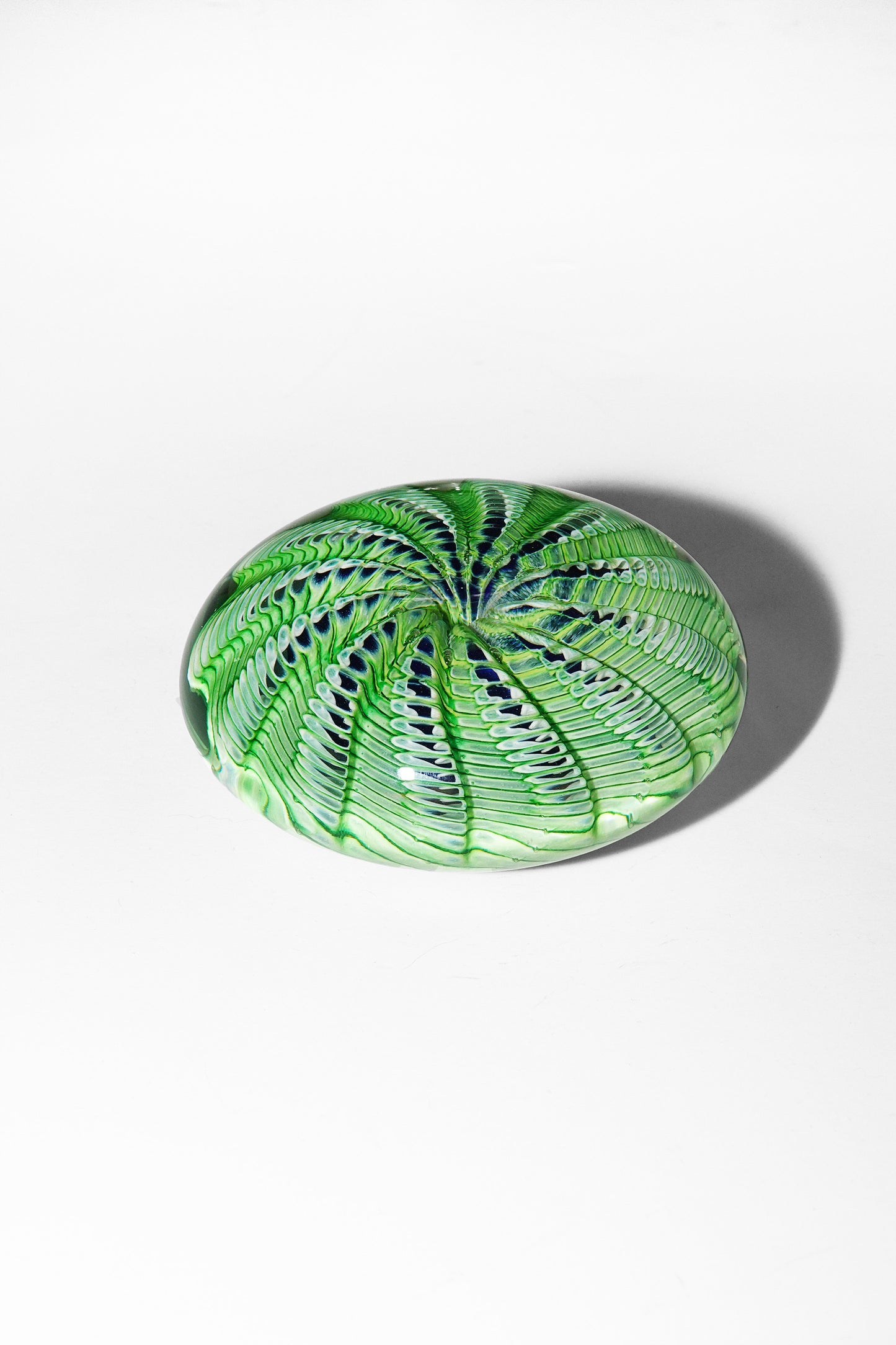 Epiphany Studios Paperweight in Green Sea Urchin