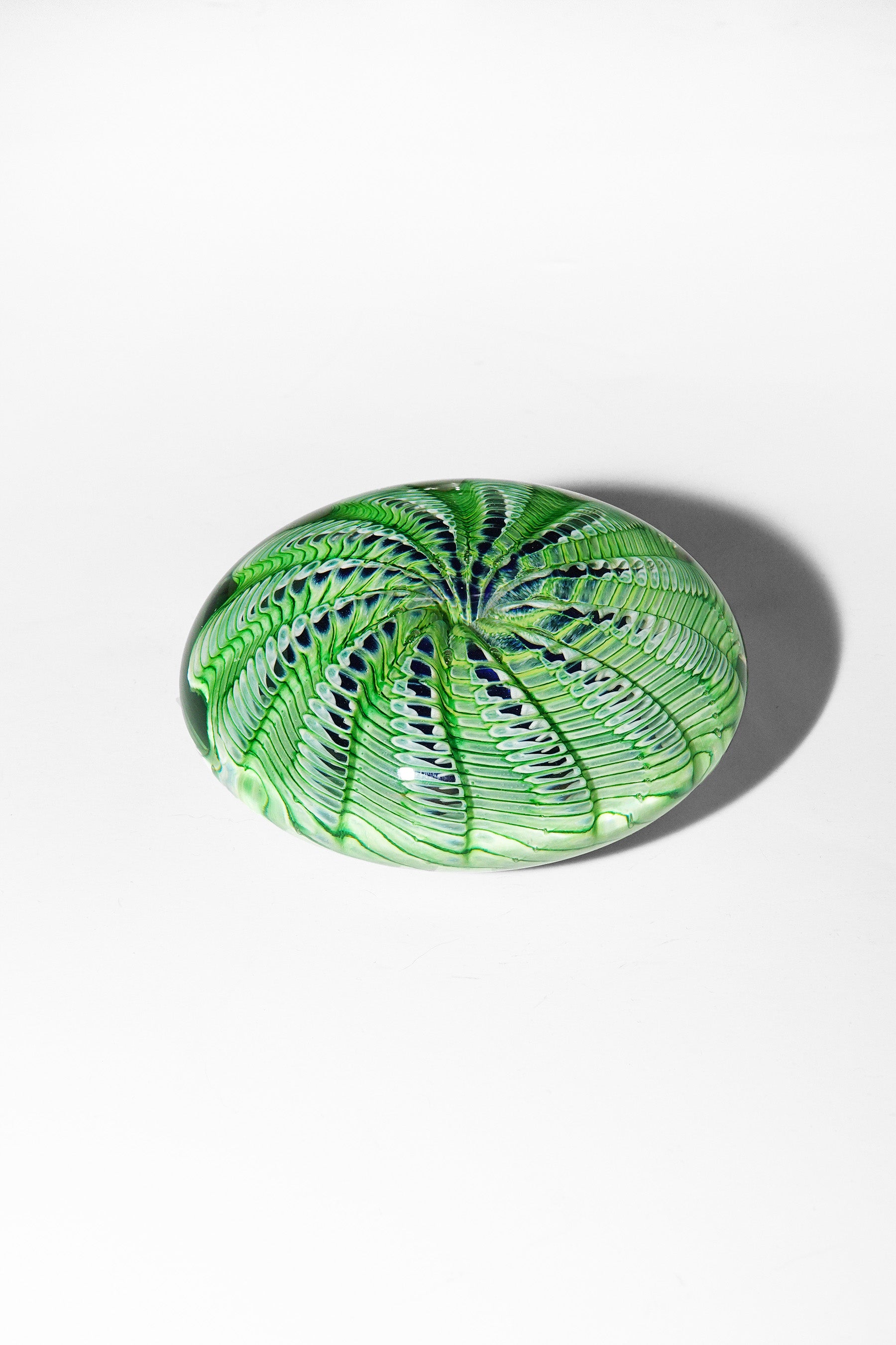 Epiphany Studios Paperweight in Green Sea Urchin