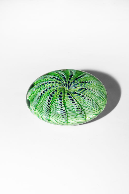 Epiphany Studios Paperweight in Green Sea Urchin