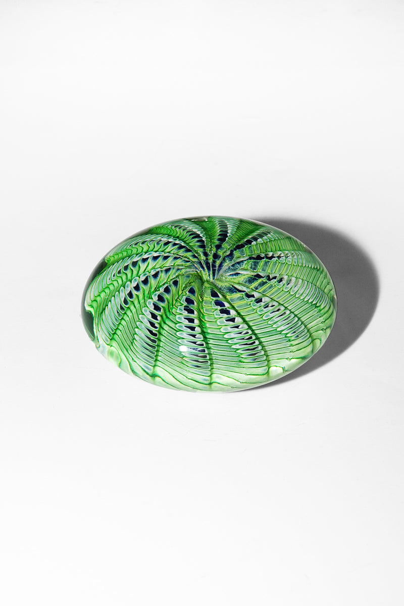 Epiphany Studios Paperweight in Green Sea Urchin