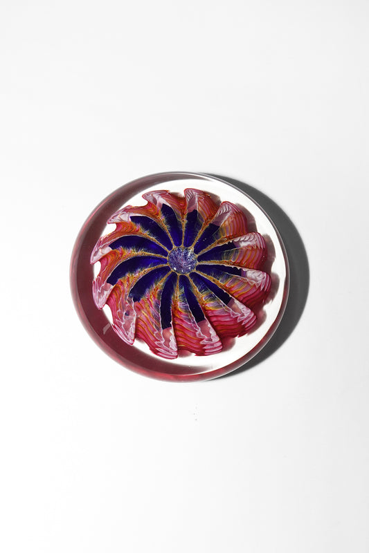 Epiphany Studios Paperweight in Purple Sea Star