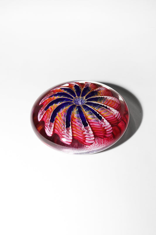 Epiphany Studios Paperweight in Purple Sea Star