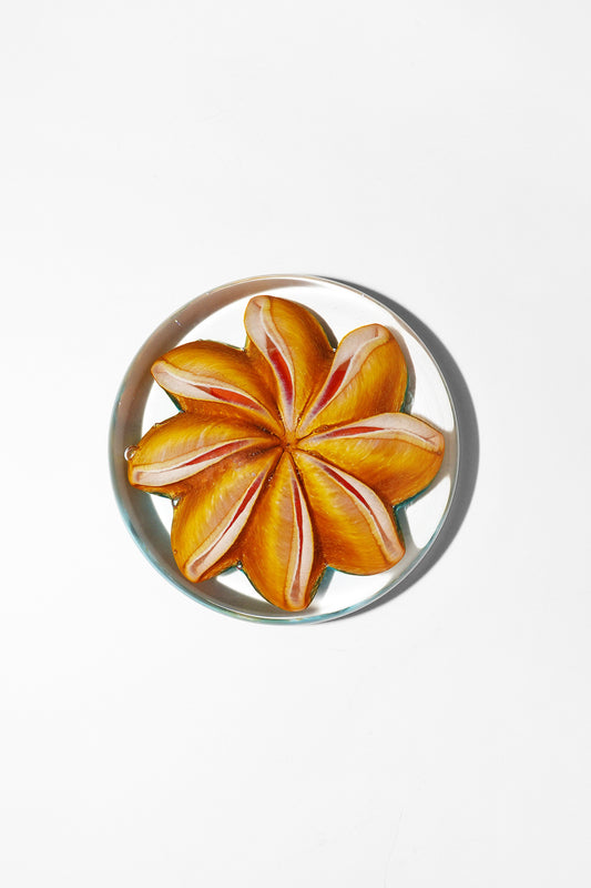 Epiphany Studios Paperweight in Tiger Lily